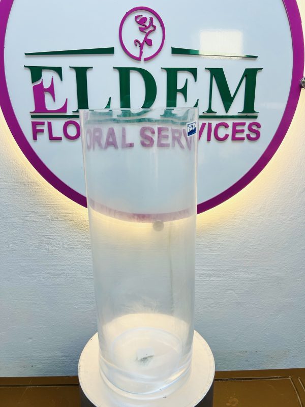 Cylindrical Glass Vase